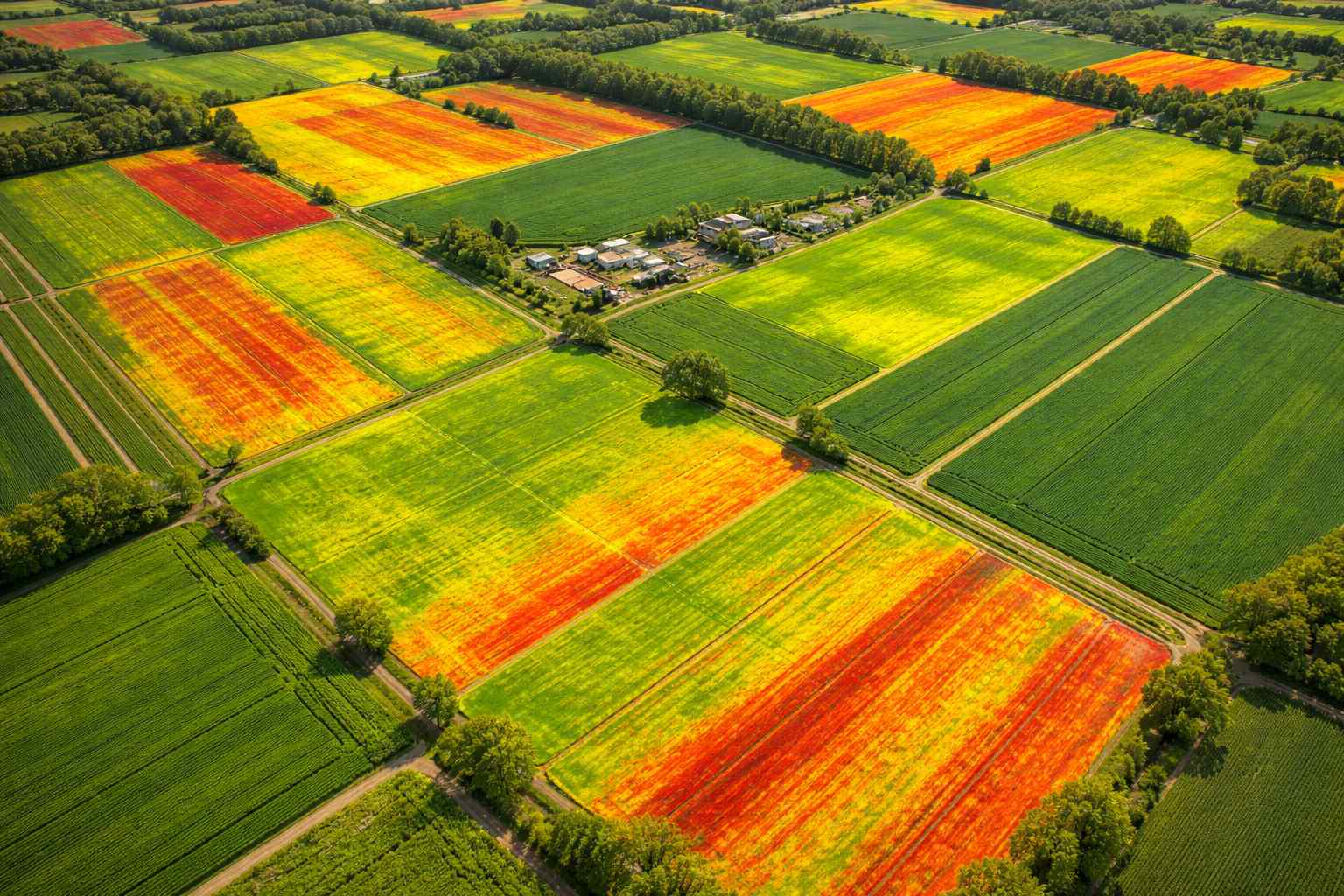 Aerial NDVI vegetation health map showing color-coded crop stress patterns across Florida farmland